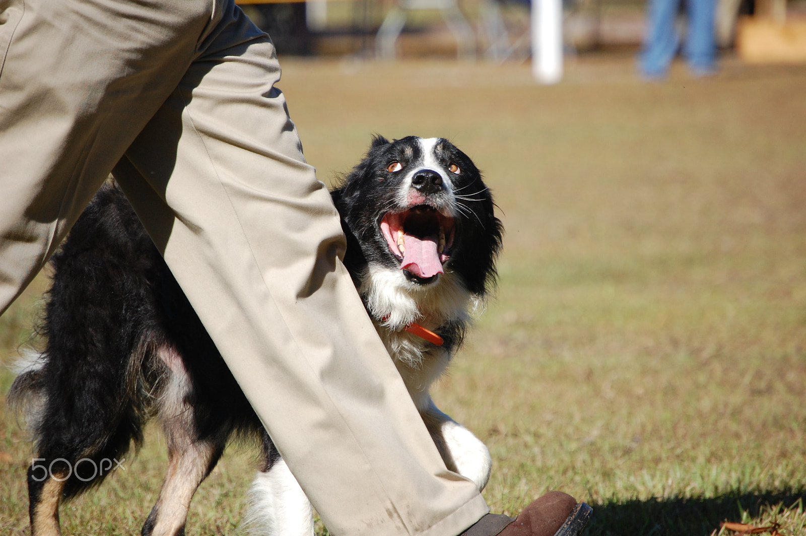 Nikon D40 sample photo. Ready to work! photography