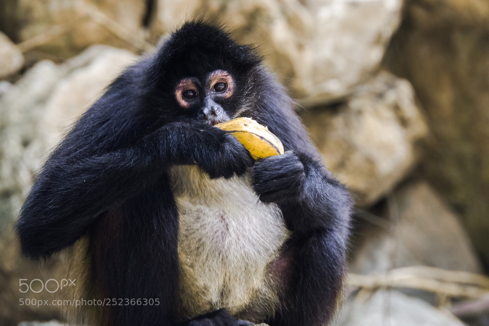 Nikon D7500 sample photo. It's snack time! photography