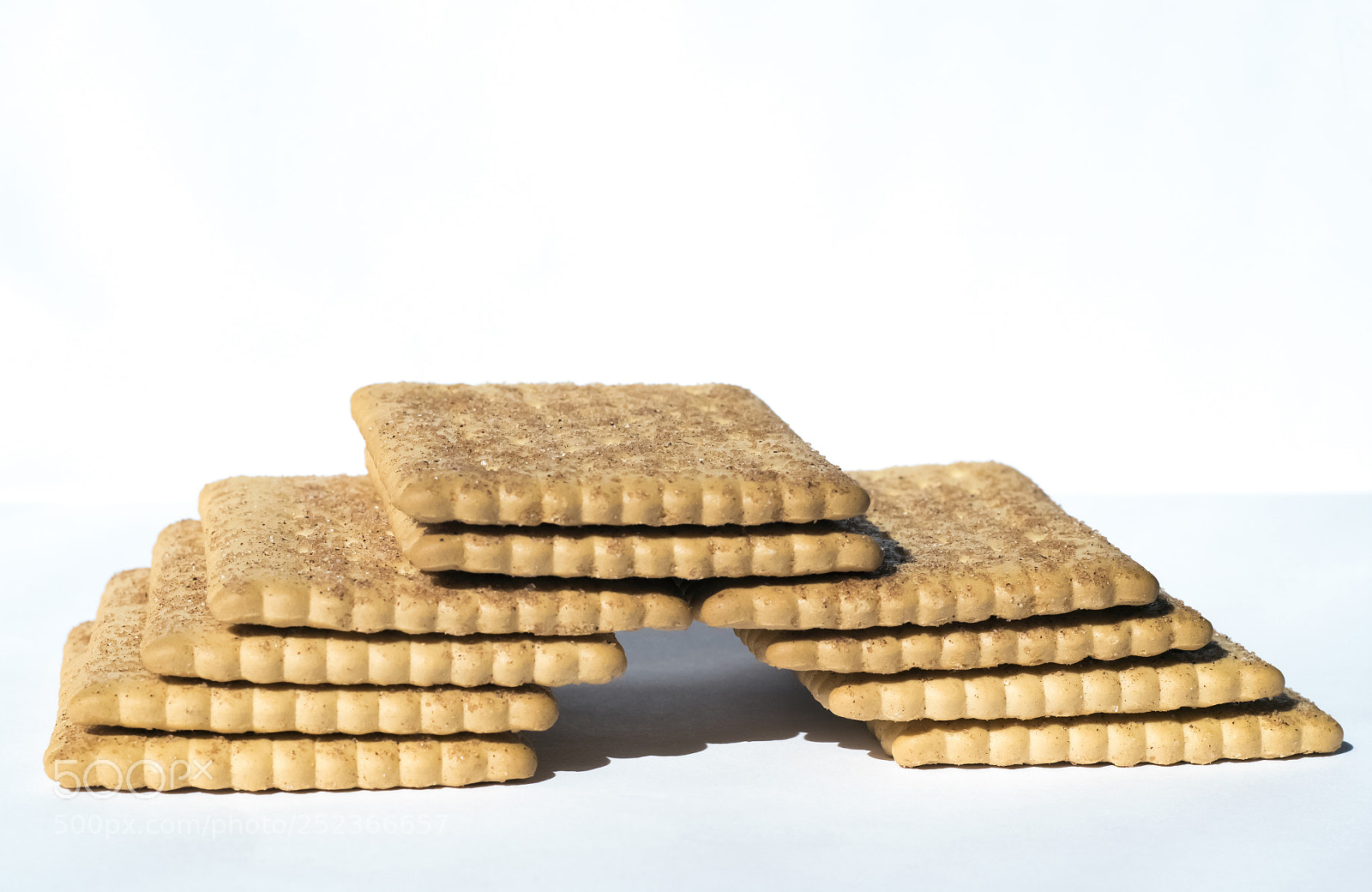 Nikon D5600 sample photo. Biscuite photography