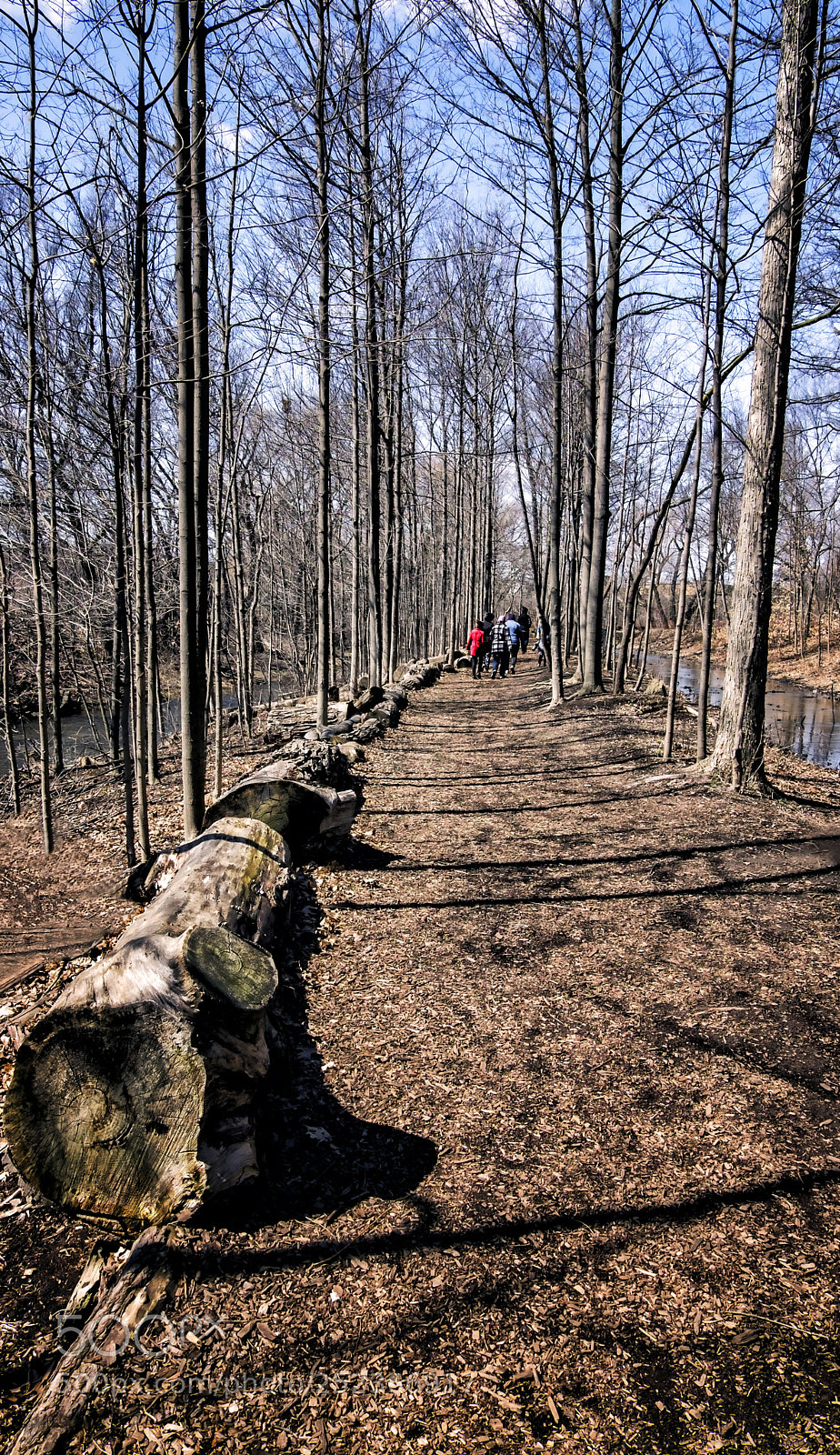 Fujifilm X-E2 sample photo. Mill pond park-milton photography