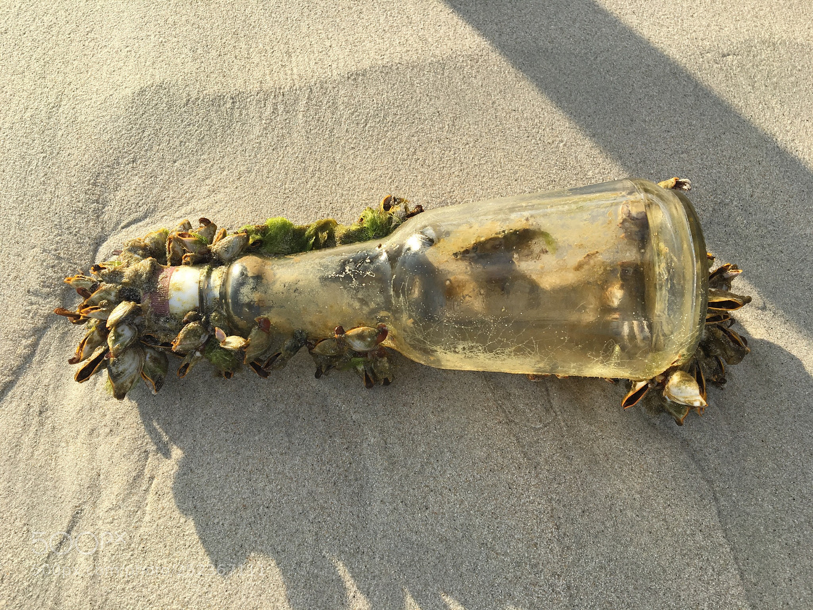 Apple iPhone 6s sample photo. Message in bottle on photography