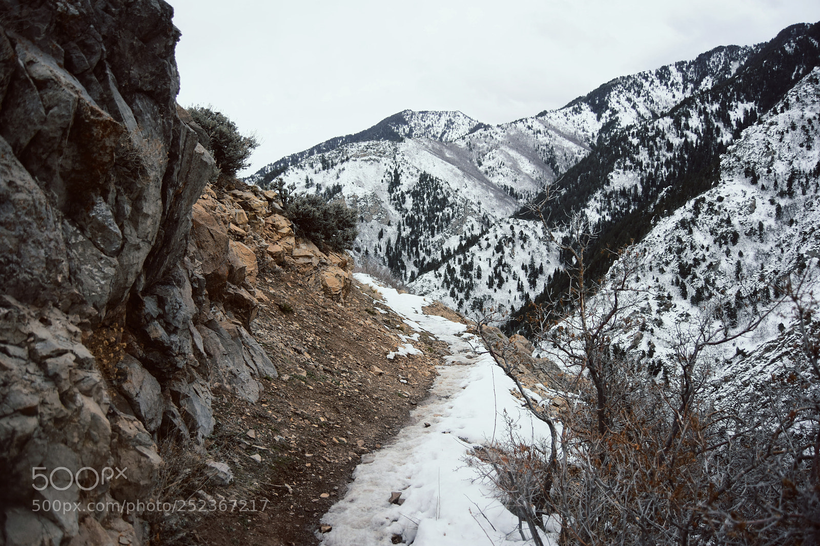 Nikon D7200 sample photo. Ostiary photography