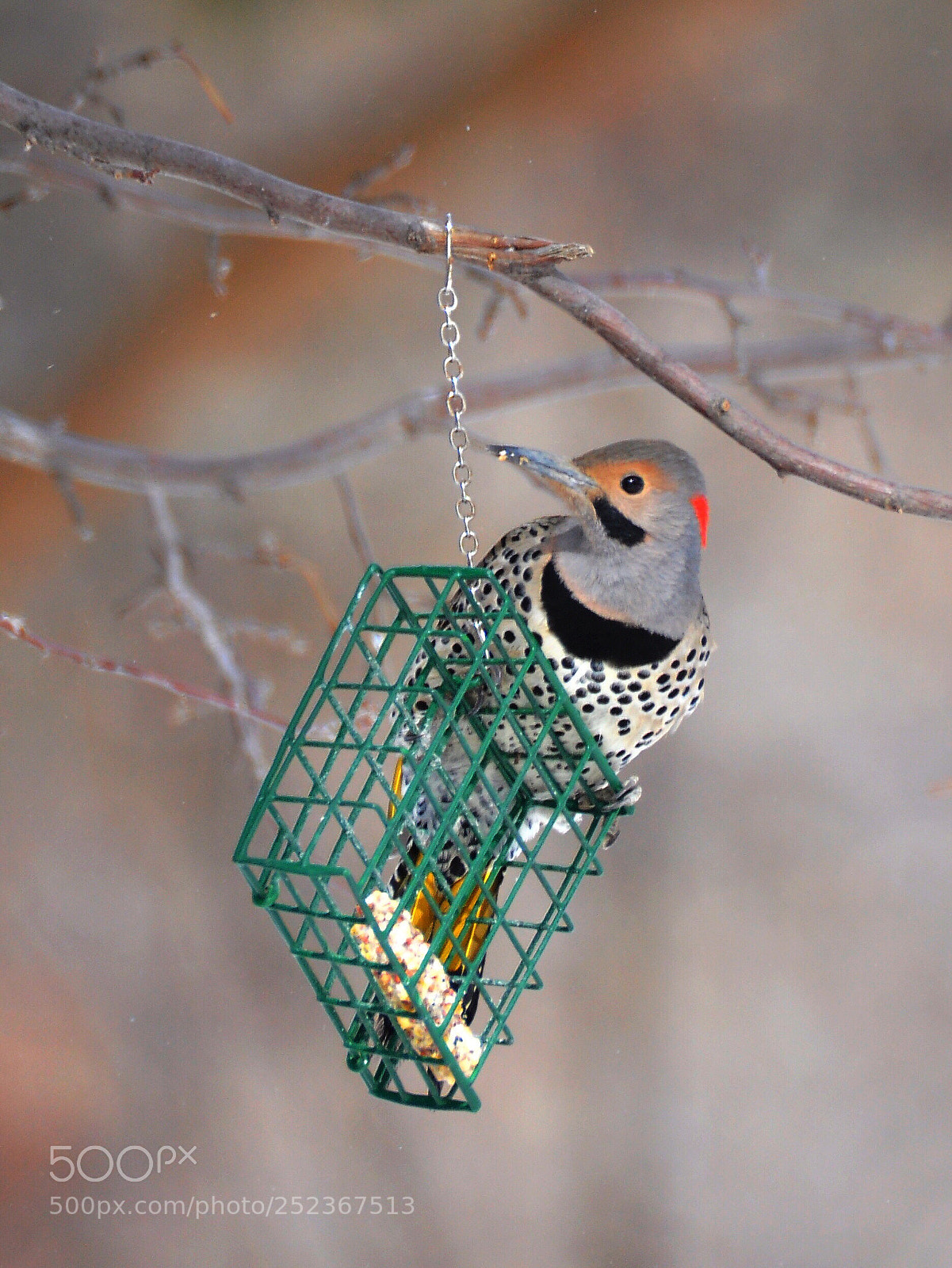 Nikon D90 sample photo. Flicker  photography