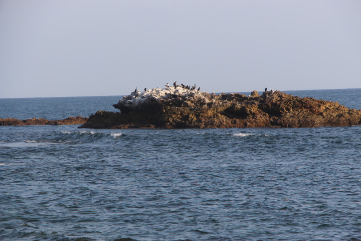 Canon EOS 700D (EOS Rebel T5i / EOS Kiss X7i) sample photo. 2016-09-06 17.34.37.jpg photography