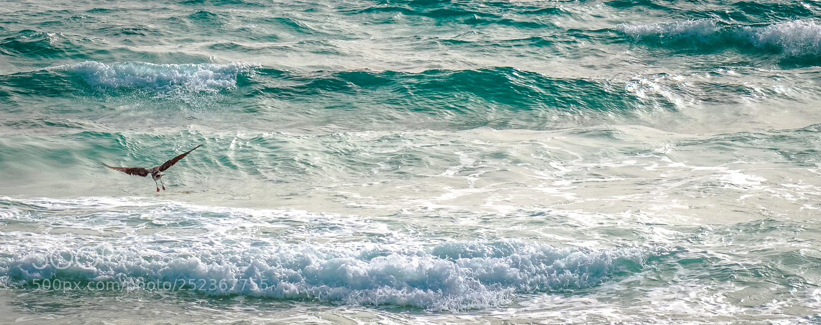 Sony a6000 sample photo. Fuerteventura wellen photography