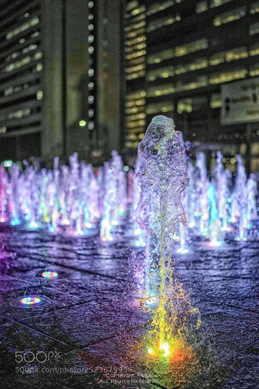 Sony a9 sample photo. Untitled photography