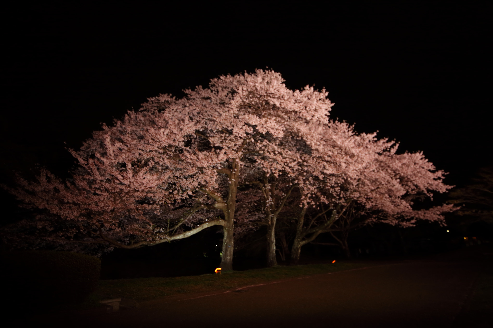 Canon EOS 5D Mark II sample photo. Iwamoto mountain park photography