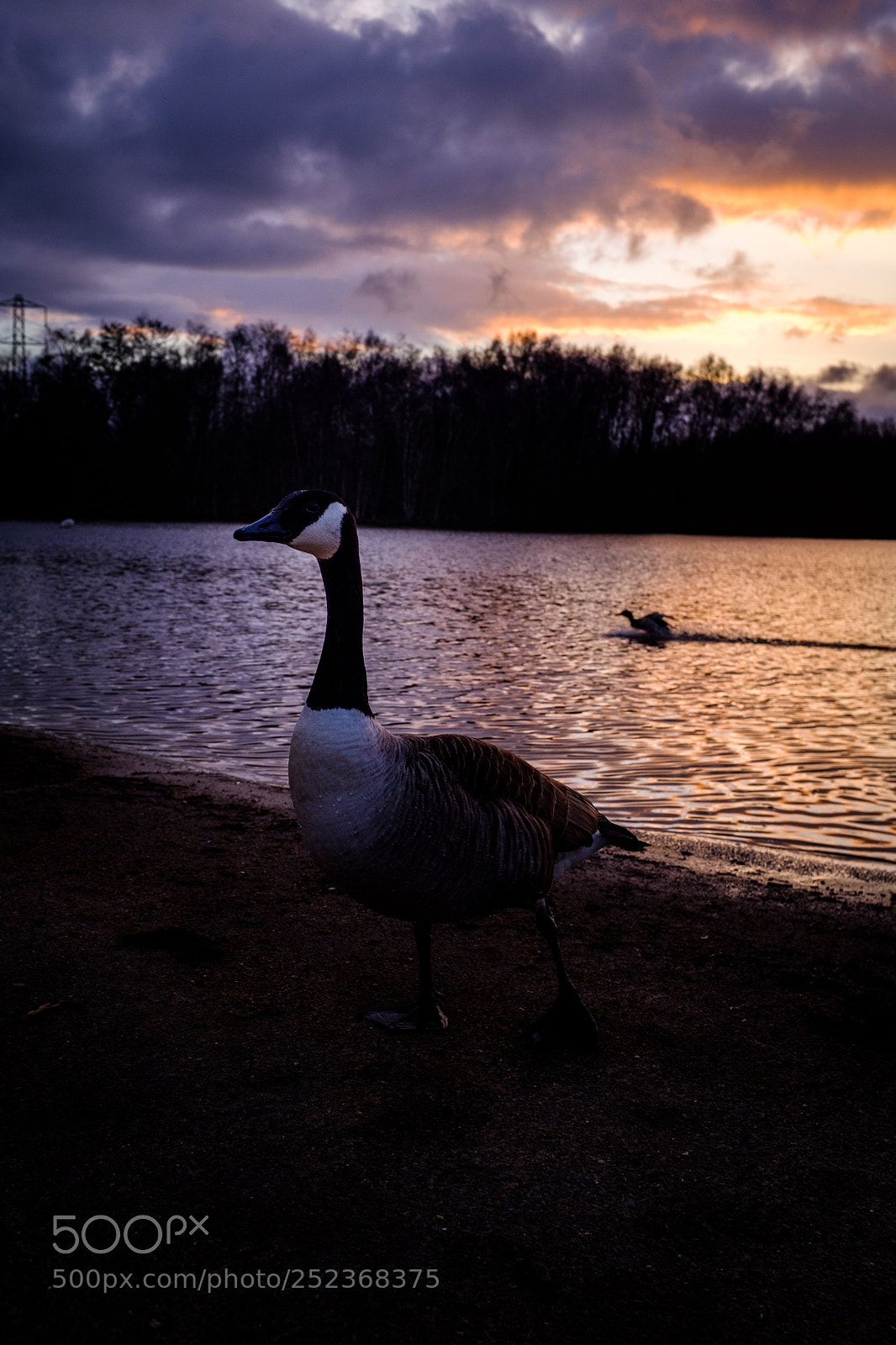 Fujifilm X100F sample photo. Untitled photography