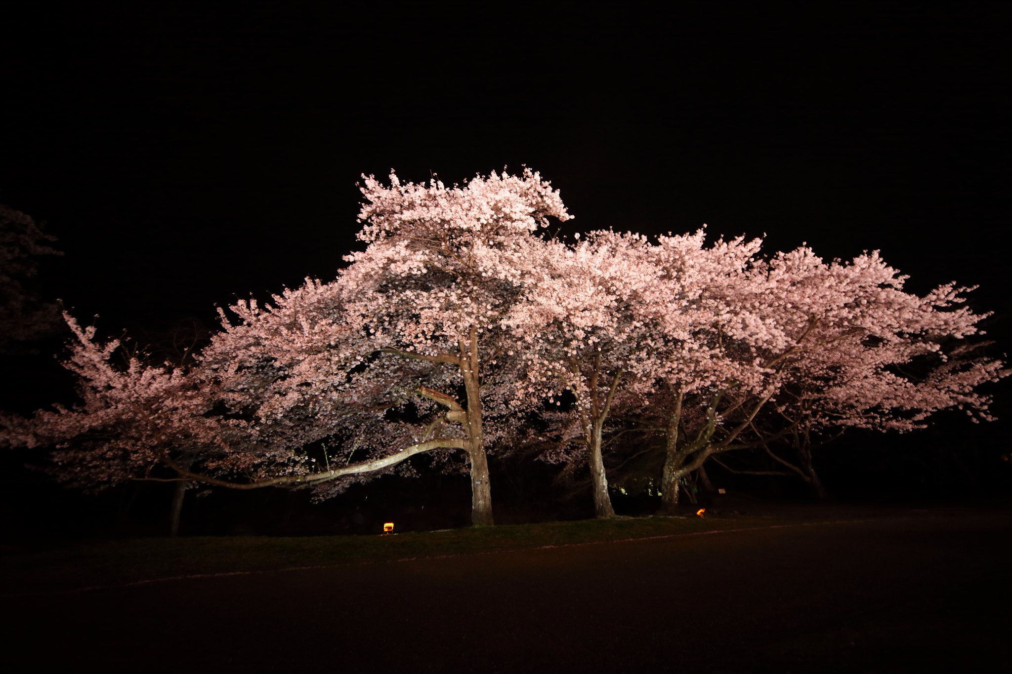Canon EOS 5D Mark II sample photo. Iwamoto mountain park photography