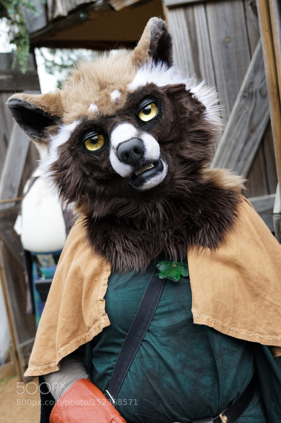 Sony a6500 sample photo. Sherwood forest faire photography