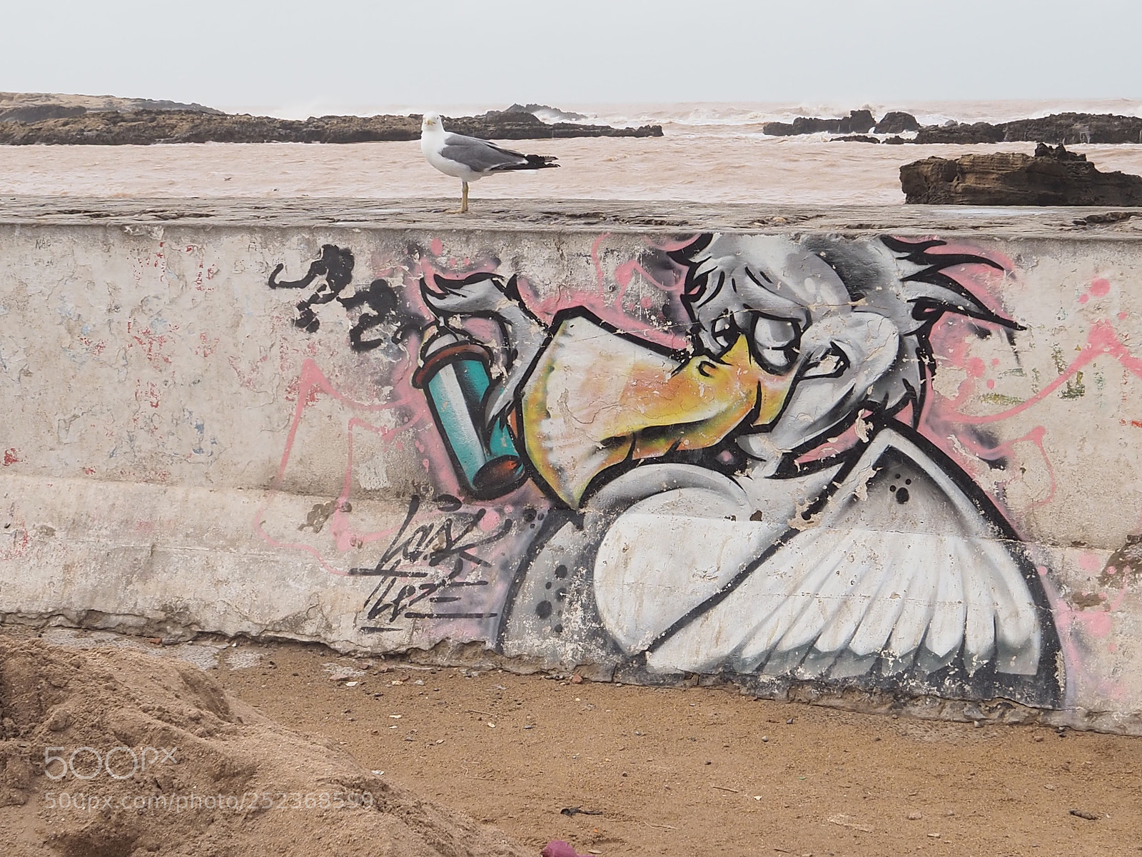 Olympus OM-D E-M5 II sample photo. The seagull photography