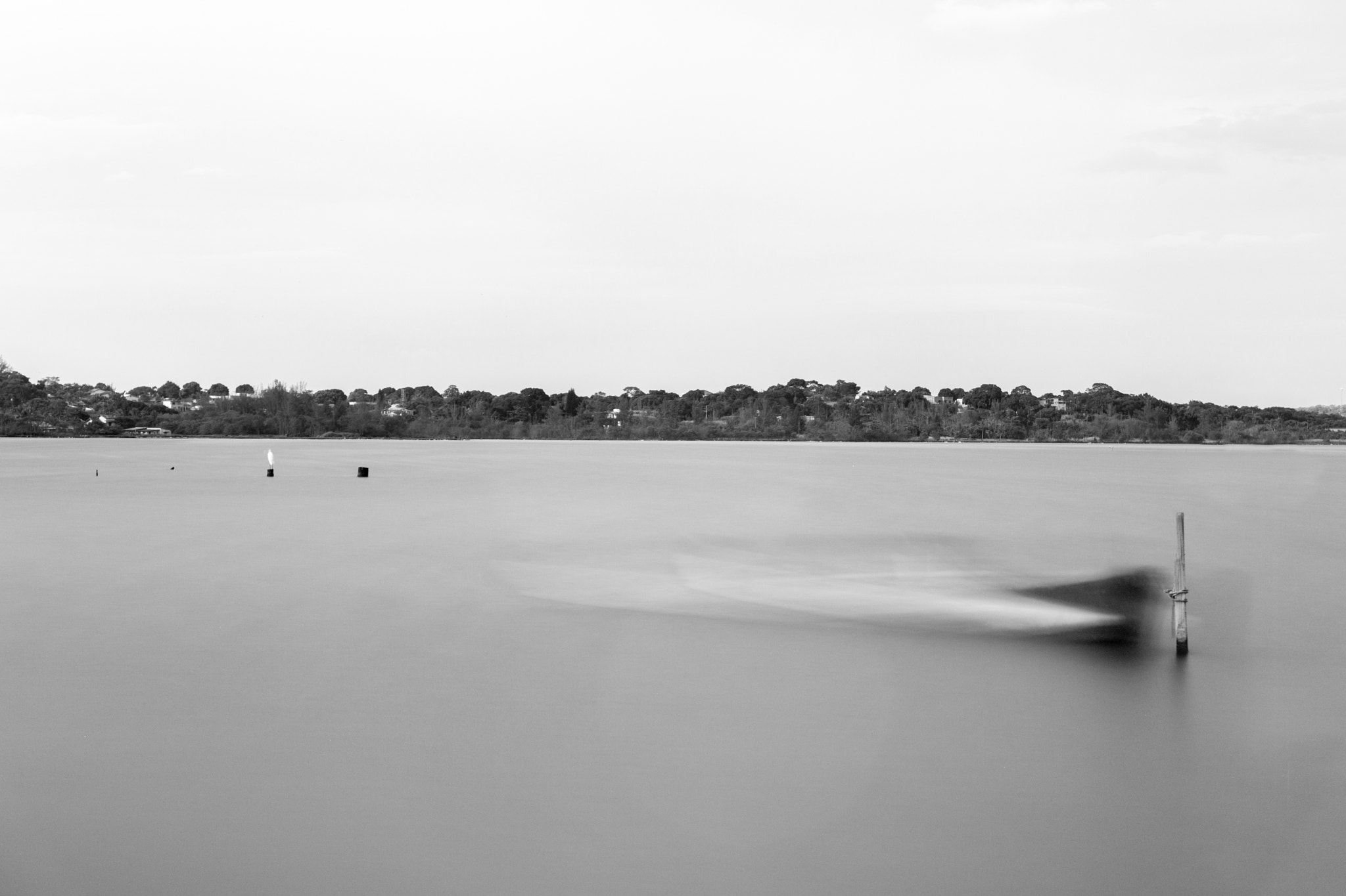 canoe mid pond background