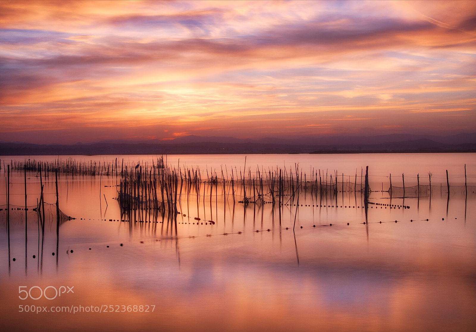 Panasonic Lumix DMC-GX85 (Lumix DMC-GX80 / Lumix DMC-GX7 Mark II) sample photo. Albufera photography