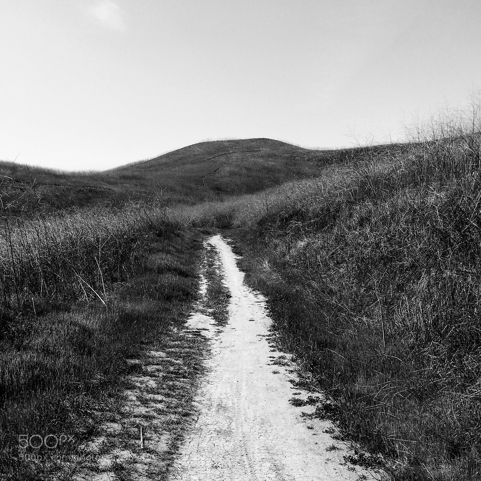 Apple iPhone 6s sample photo. Beaten path photography