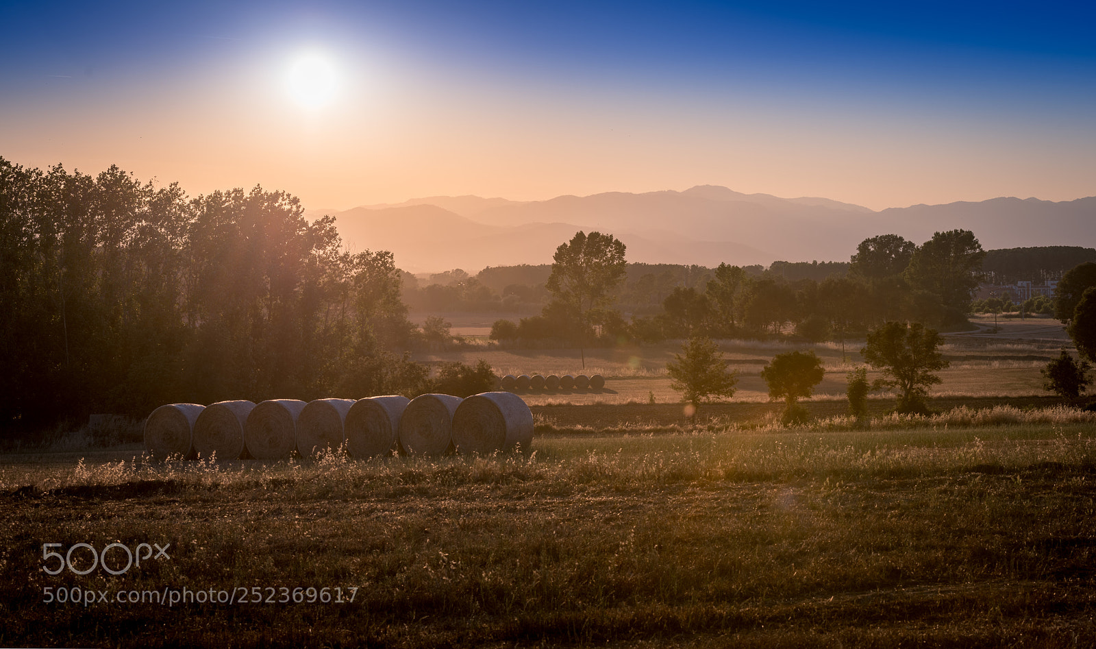 Nikon D800 sample photo. Sun photography