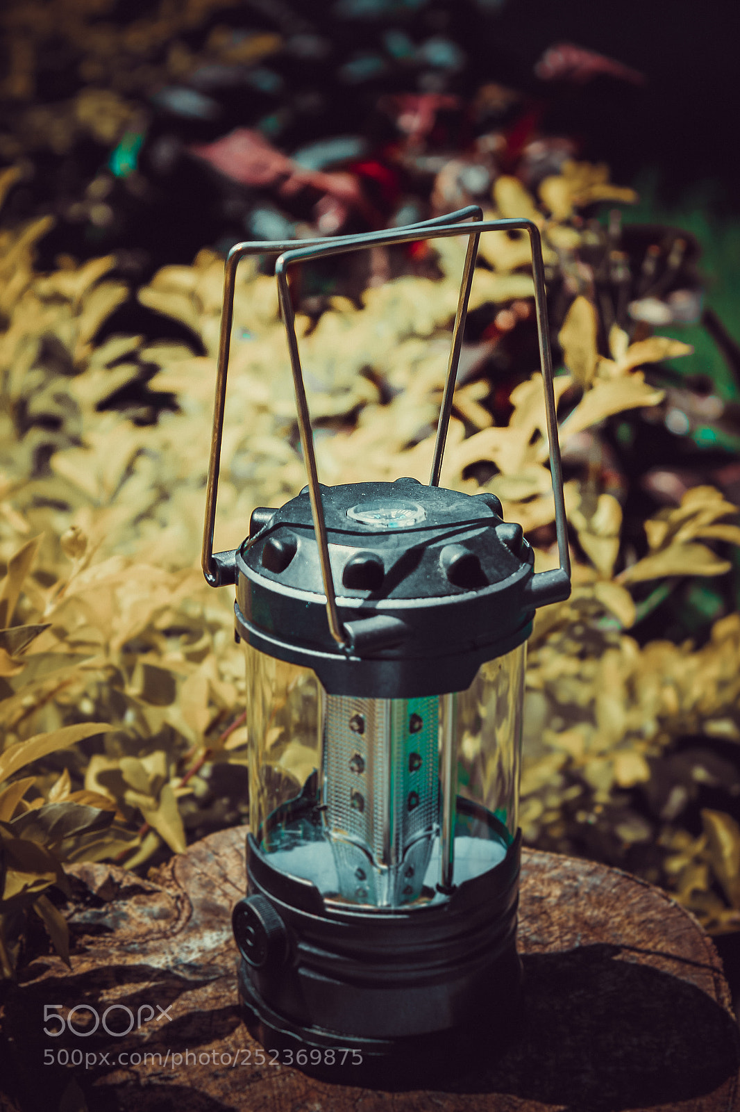 Canon EOS 1300D (EOS Rebel T6 / EOS Kiss X80) sample photo. Img photography