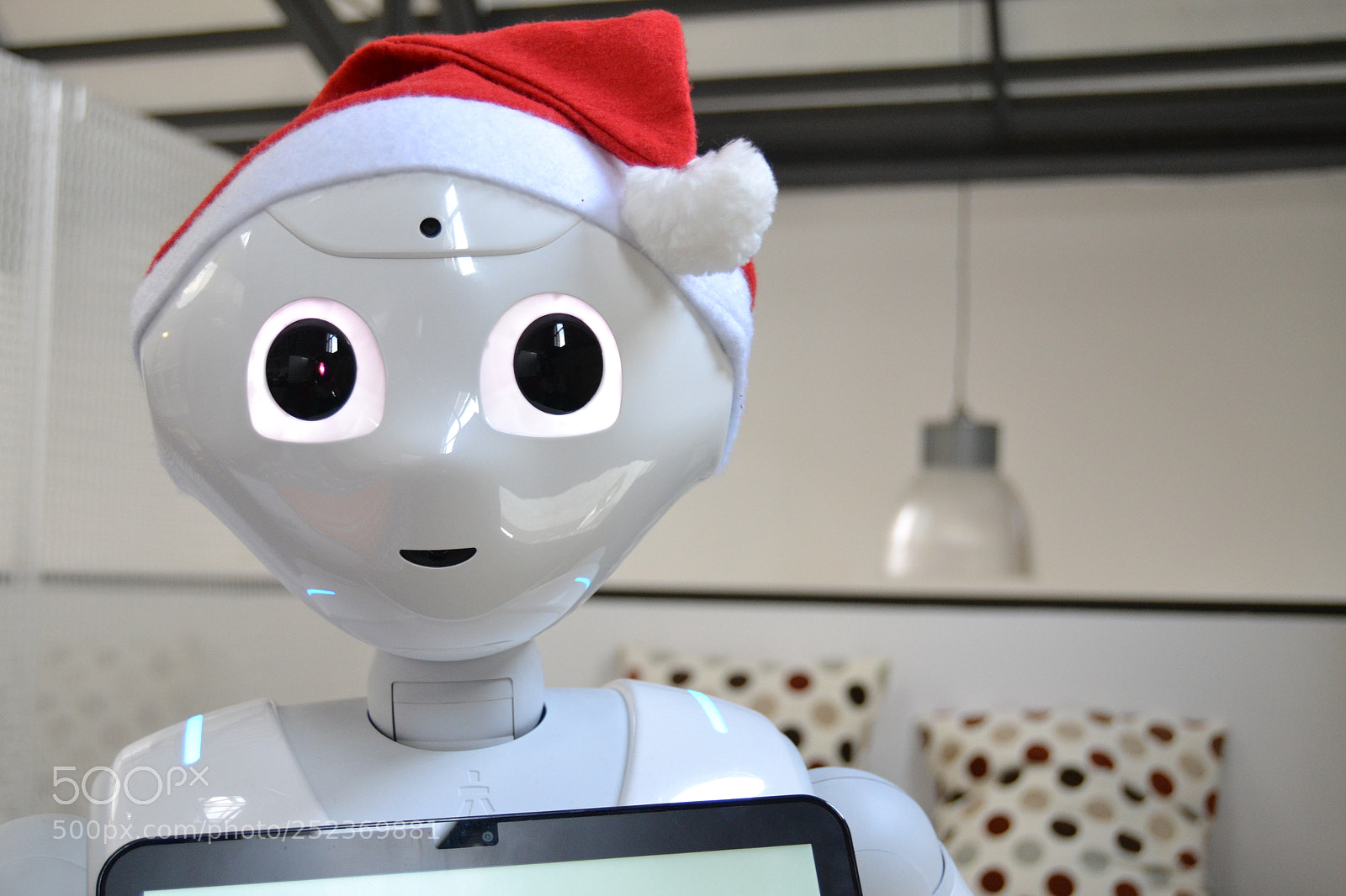 Nikon D3100 sample photo. Merry christmas photography