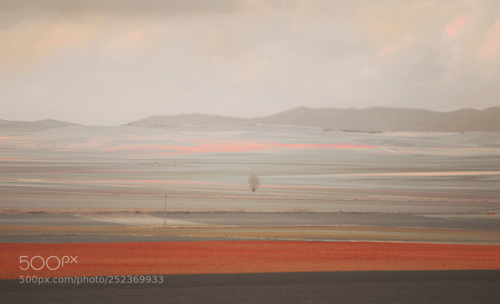 Nikon D300 sample photo. Winter in andalusia  photography