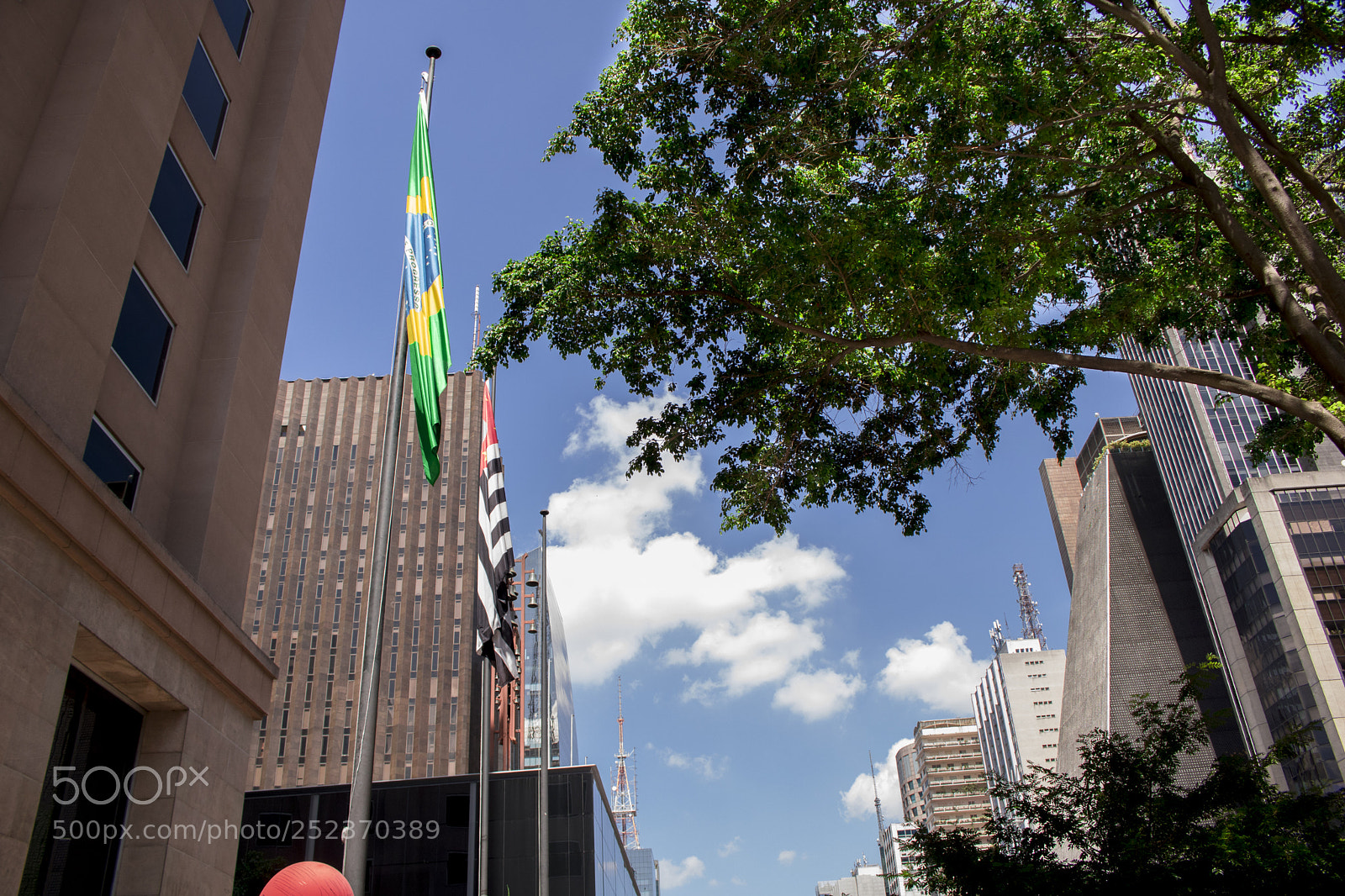 Canon EOS 750D (EOS Rebel T6i / EOS Kiss X8i) sample photo. Flag photography