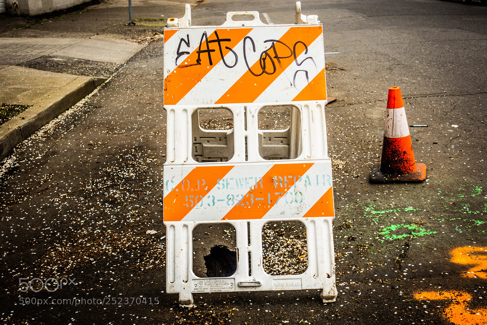Sony DSC-RX100M5 sample photo. Eat cops photography