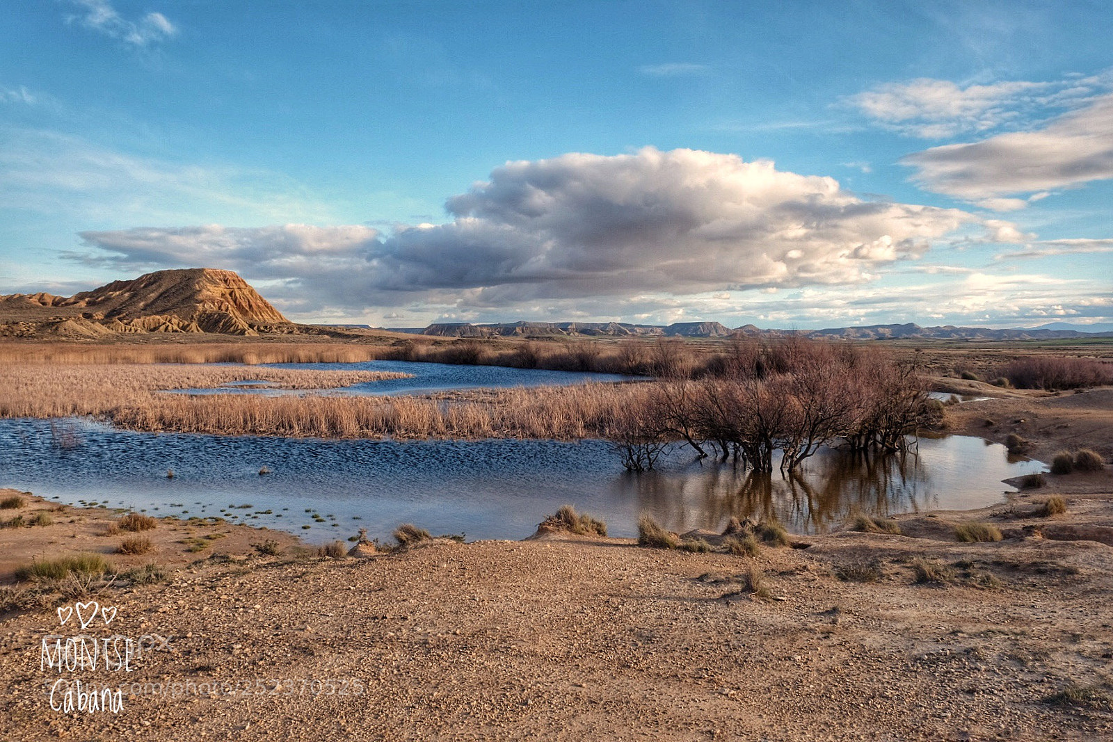 Fujifilm X-T1 sample photo. Bardenas reales  photography