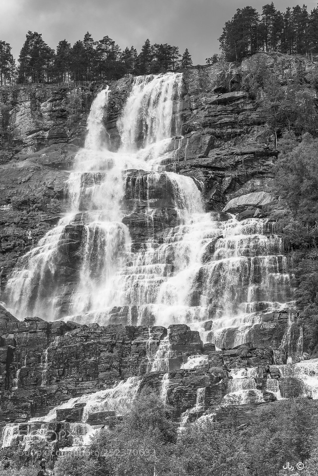 Nikon D810 sample photo. The sound of the photography