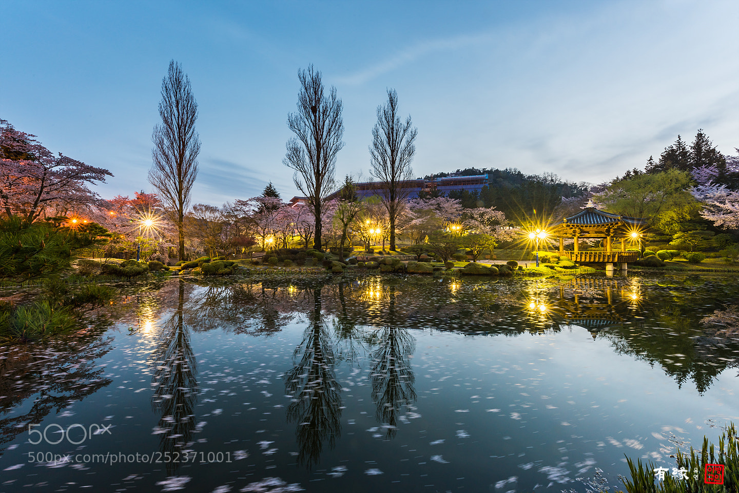 Nikon D810 sample photo. . photography