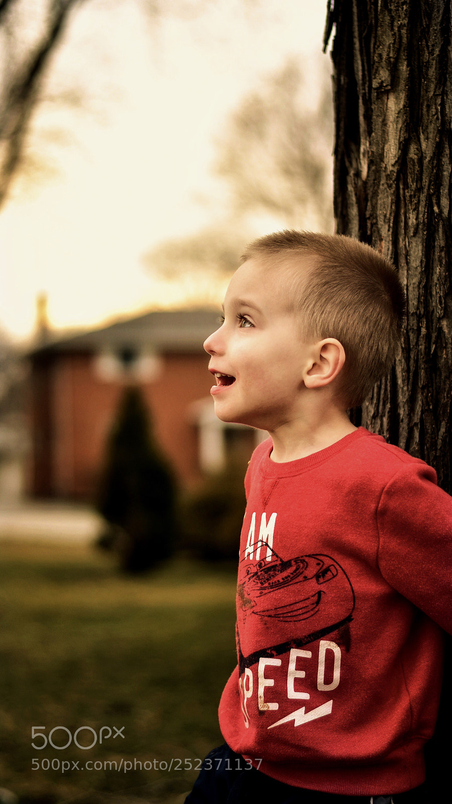 Nikon D5600 sample photo. Basking in the late photography