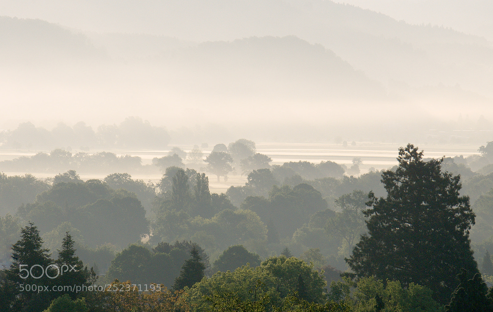 Sony a6000 sample photo. Dreisamtal fernblick photography