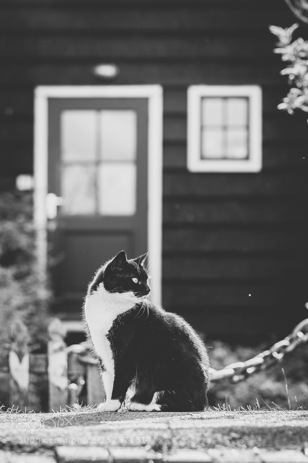 Pentax K-3 sample photo. Untitled photography