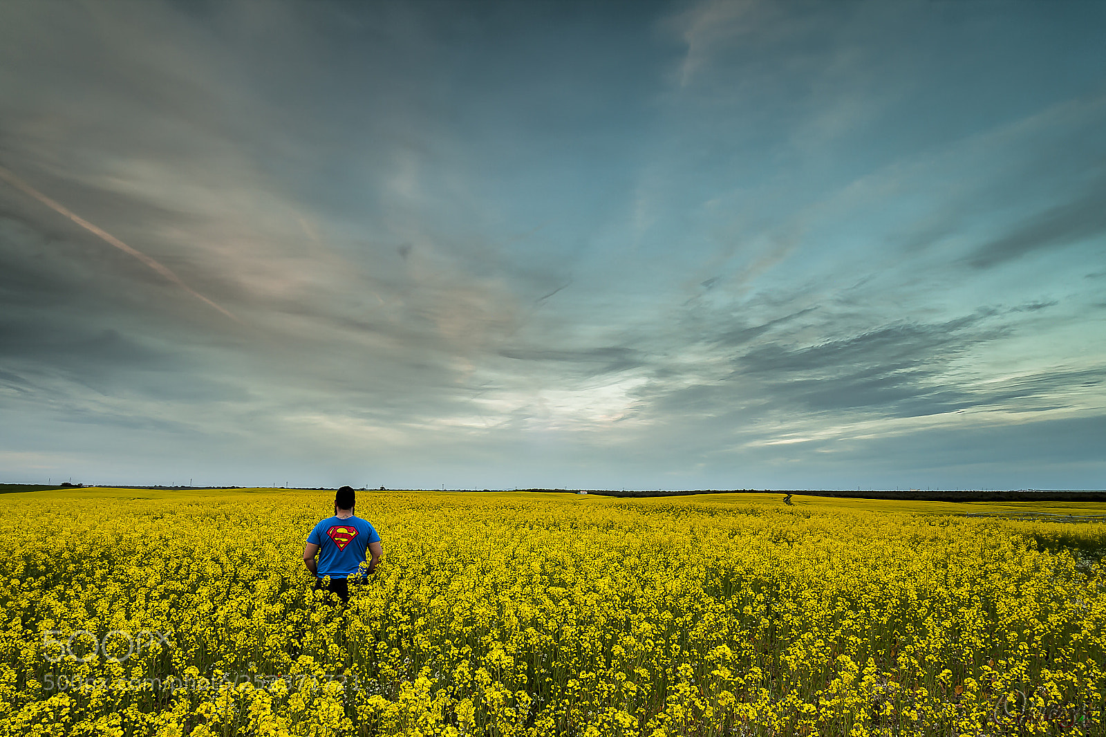 Canon EOS 5D Mark II sample photo. Super blue photography
