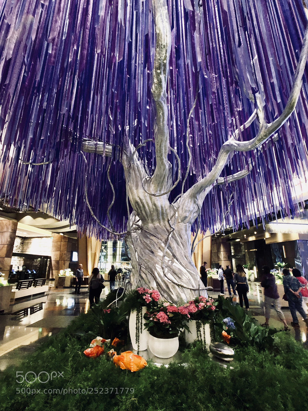 Apple iPhone 8 Plus sample photo. Purple tree photography