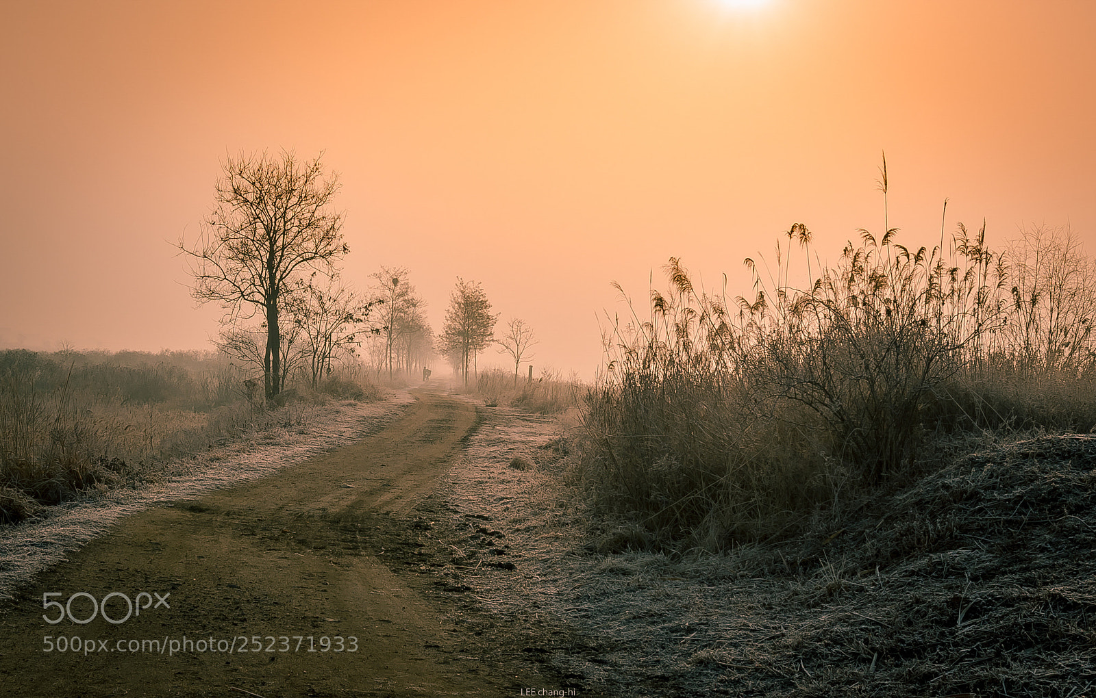 Nikon D810 sample photo. In the morning photography