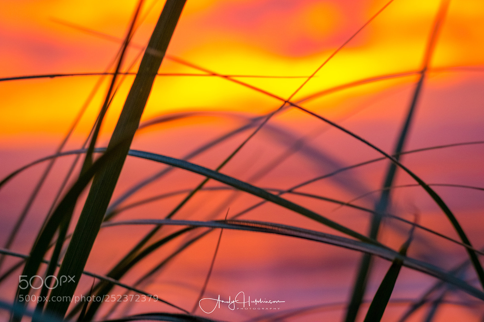 Canon EOS 7D Mark II sample photo. Shoalhaven heads beach photography