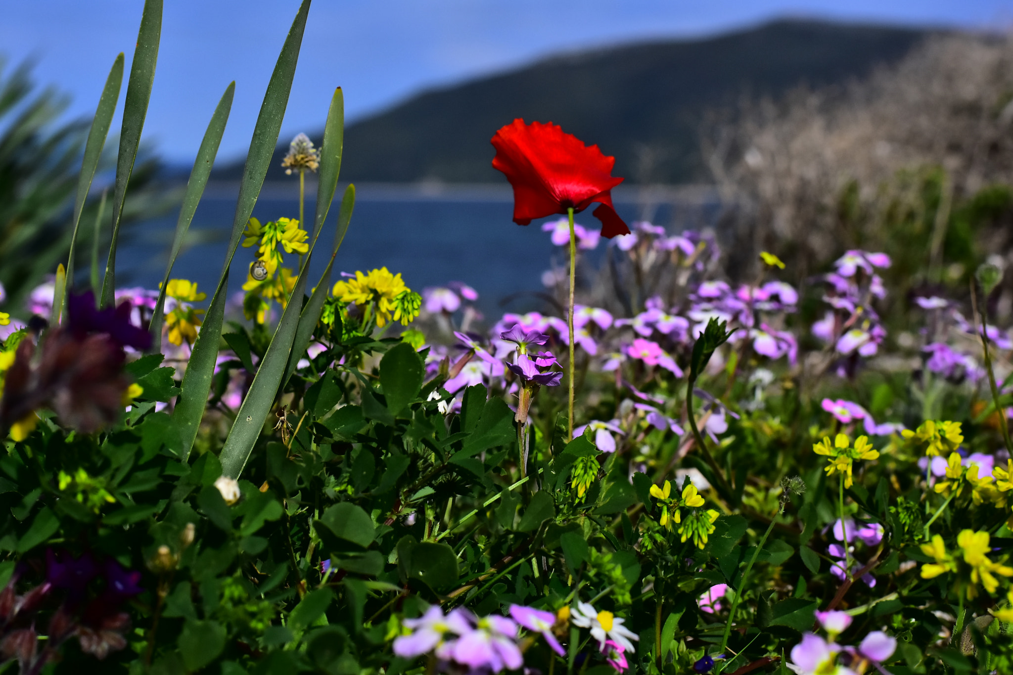 Nikon D7200 + Nikon AF-S Nikkor 50mm F1.8G sample photo. Ls7 photography