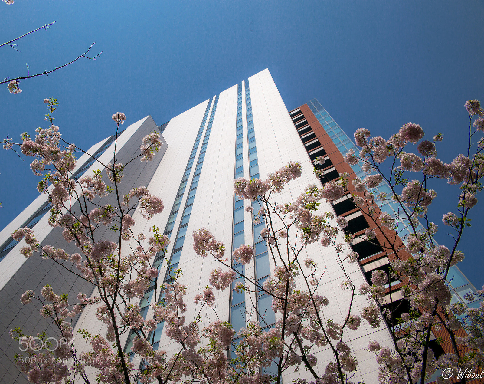 Leica M (Typ 240) sample photo. Spring in the city photography