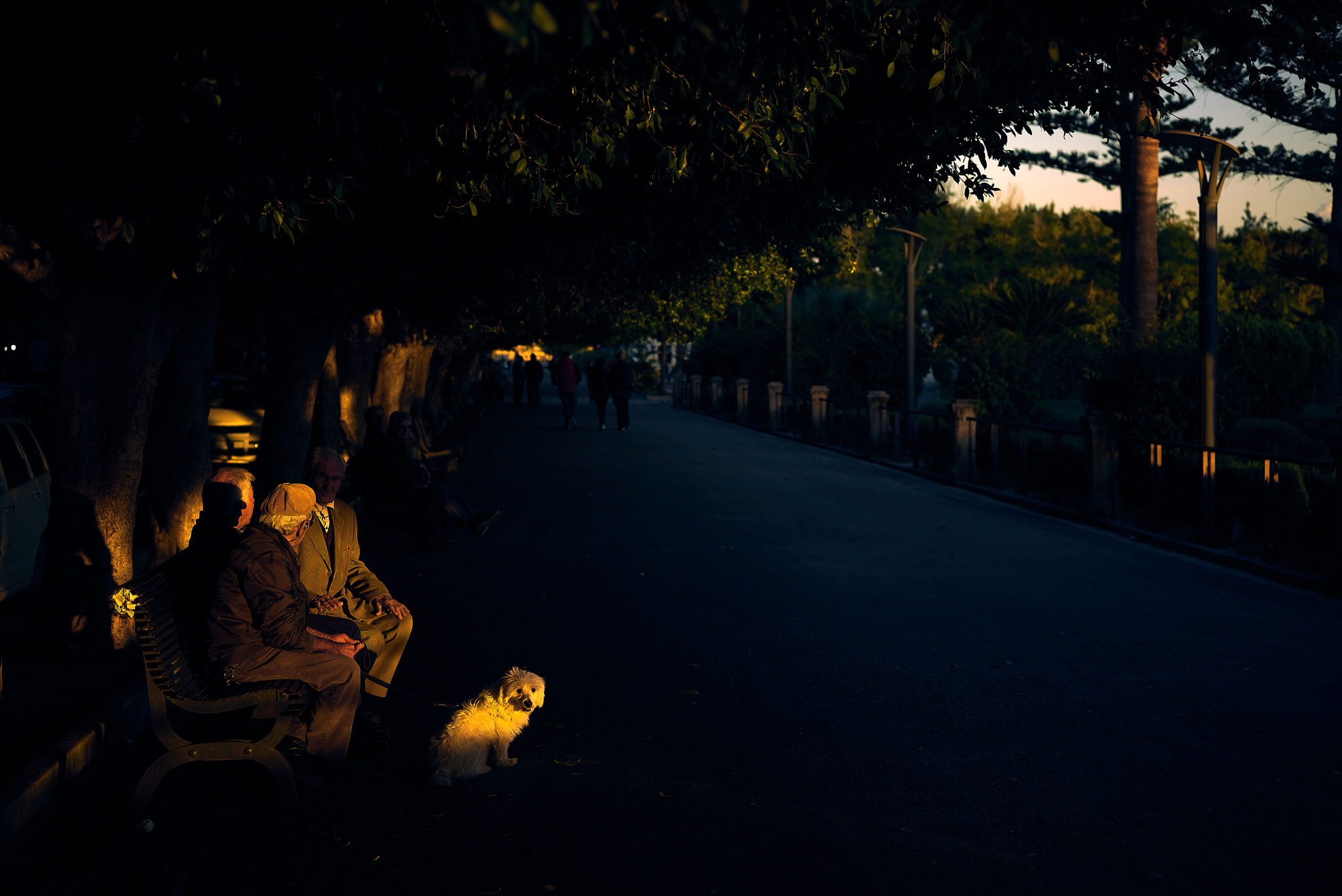 Leica M (Typ 262) sample photo. Noto photography