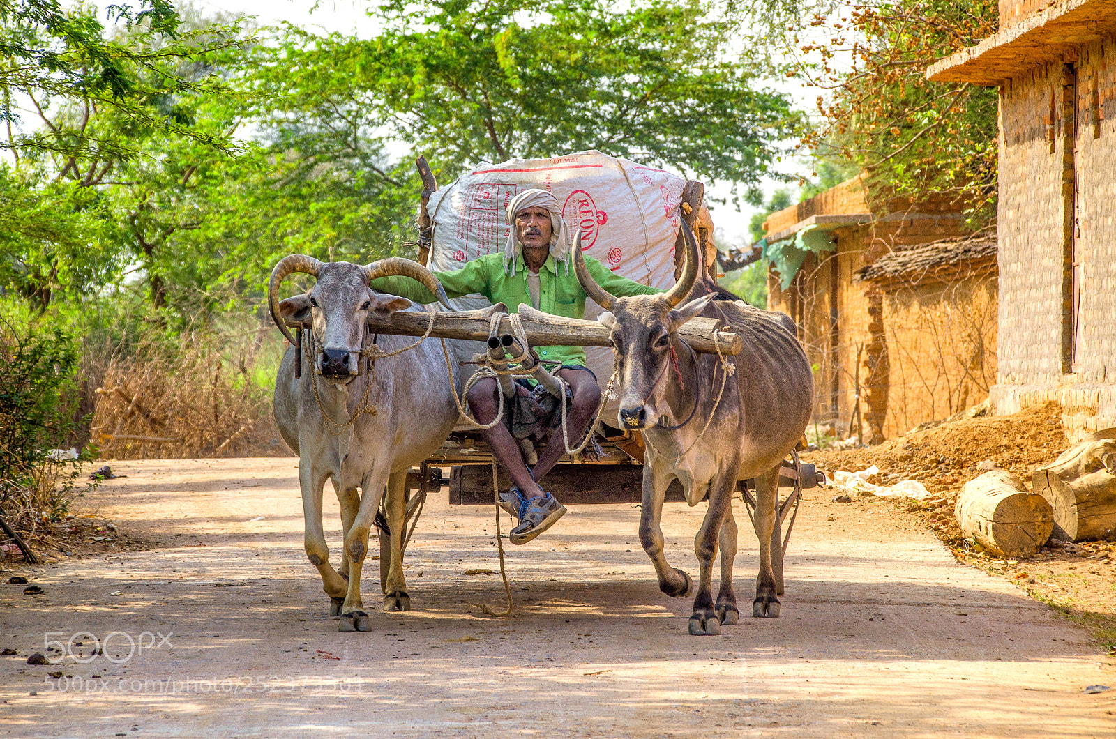 Nikon D7000 sample photo. Village transportation photography