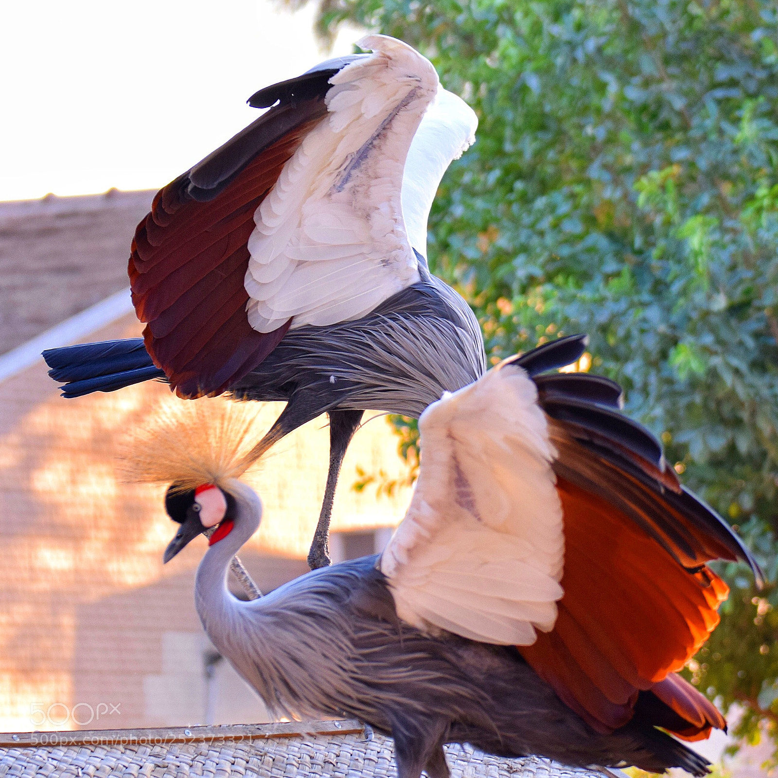 Nikon D5300 sample photo. Untitled photography