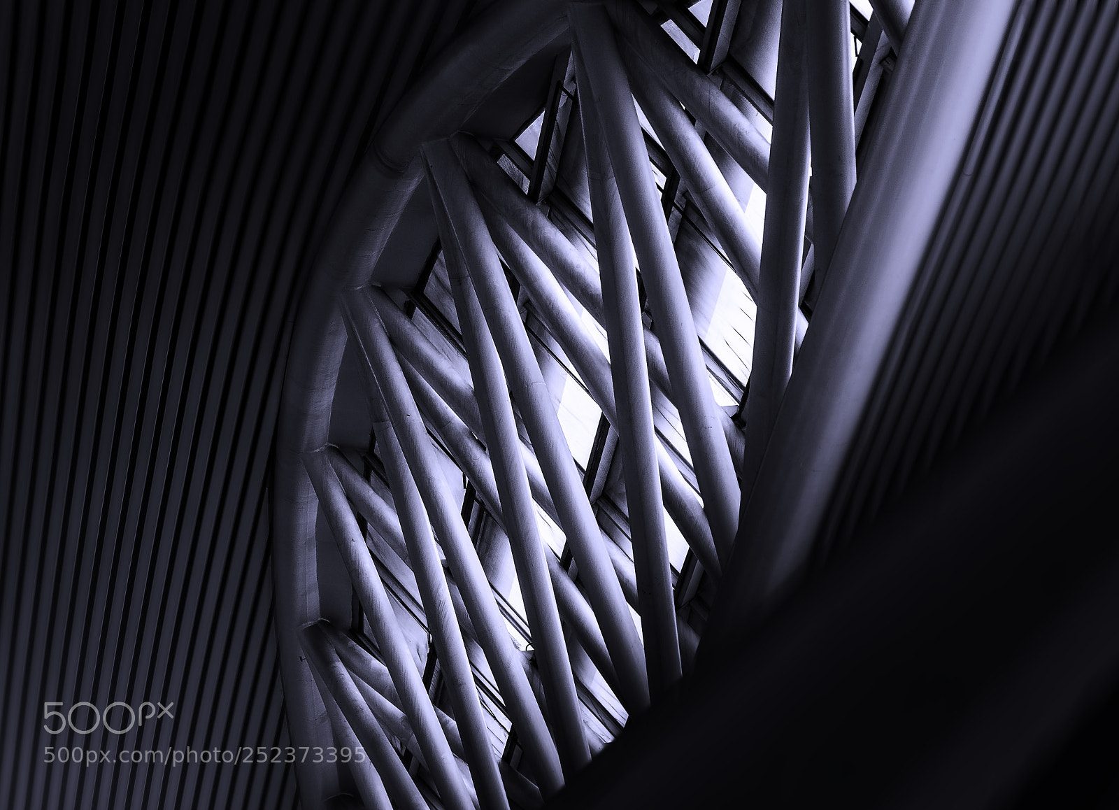 Nikon D810 sample photo. The ceiling part of photography