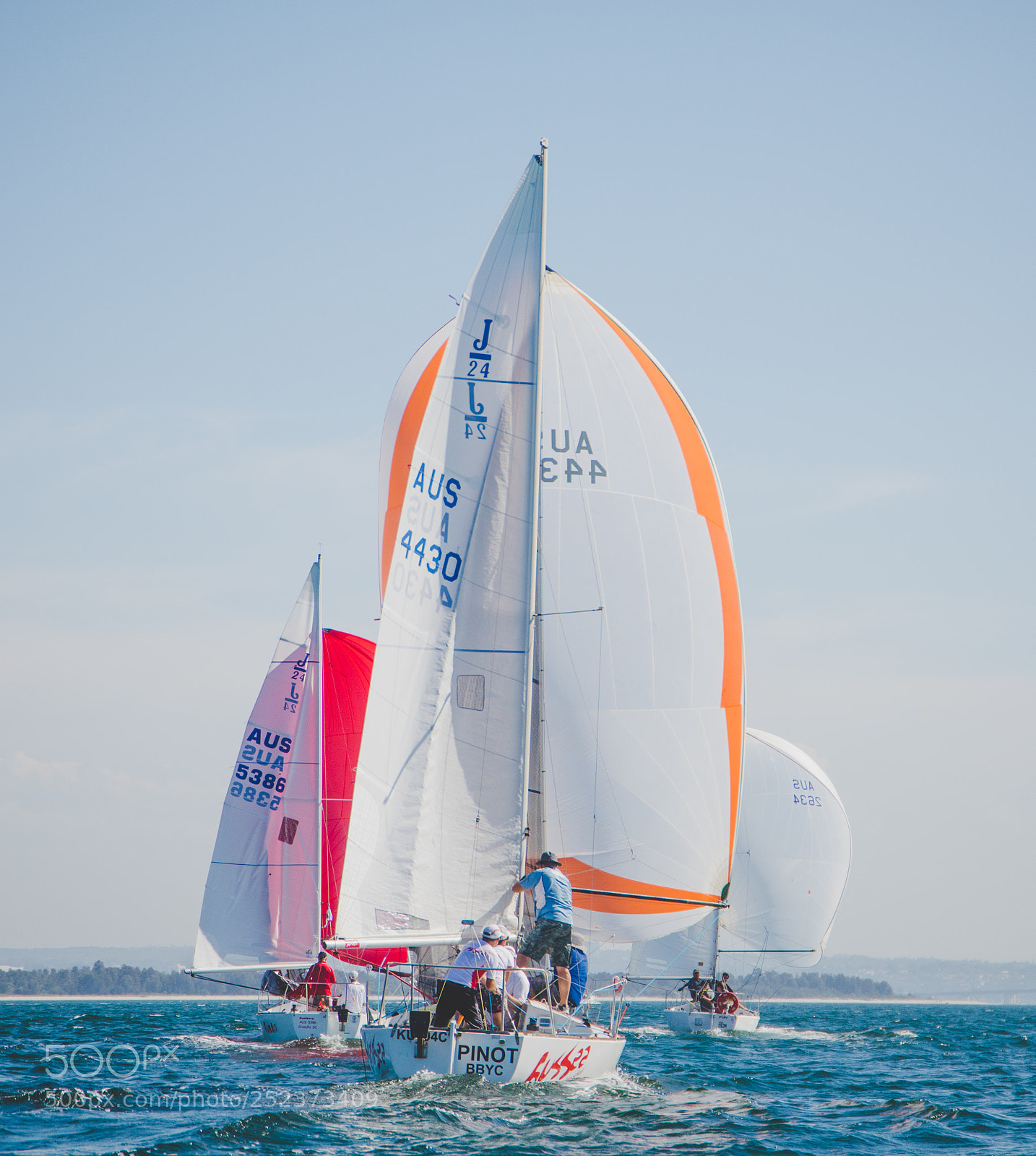 Canon EOS 5D Mark IV sample photo. Botany bay regatta pinot photography