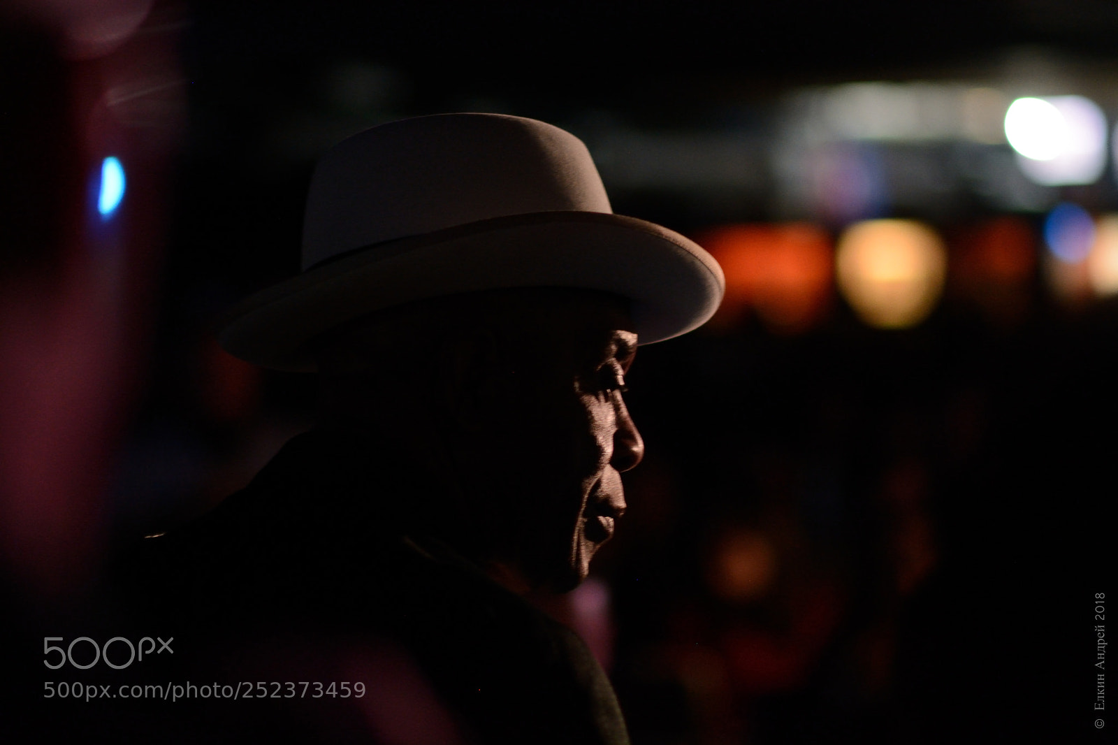 Nikon D7100 sample photo. Buddy guy at his photography
