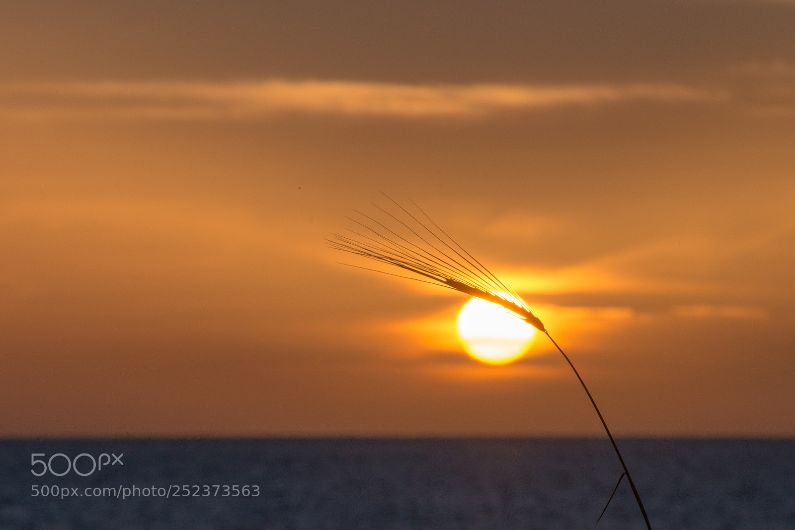 Nikon D800E sample photo. Sunset photography