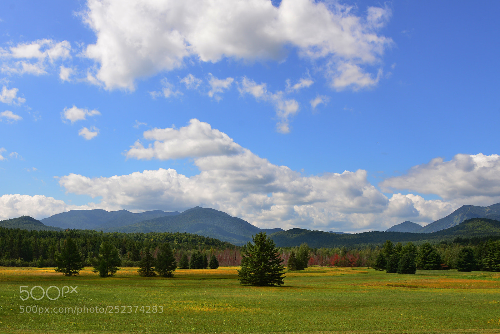 Nikon D800 sample photo. Field outside of jay photography