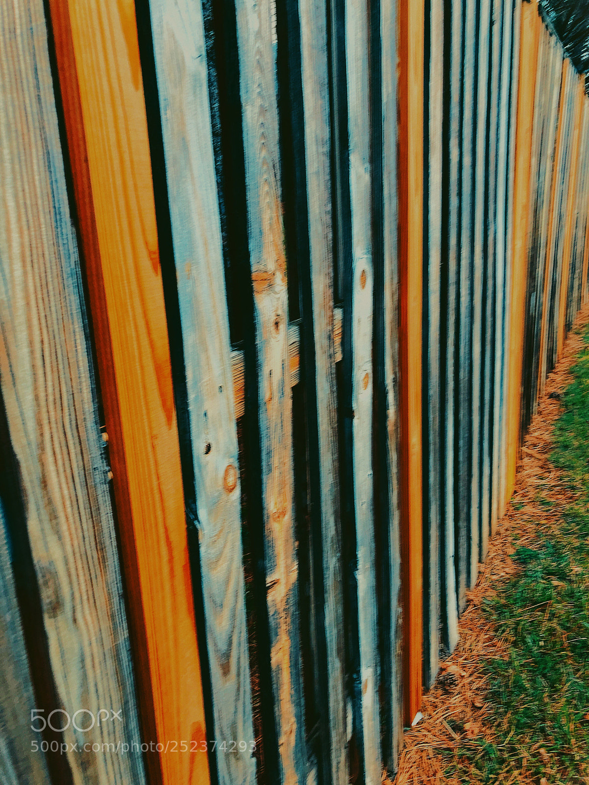Apple iPhone 8 Plus sample photo. Fenceline photography