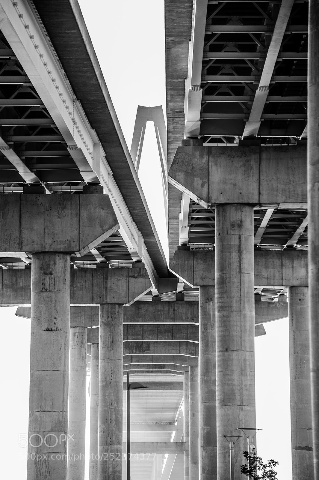 Nikon D700 sample photo. Under the bridge photography