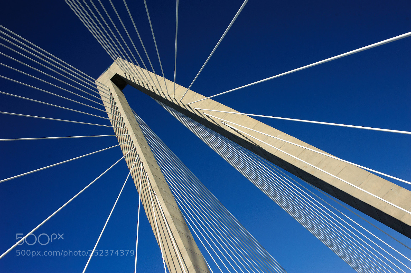 Nikon D700 sample photo. Lines in the bridge photography