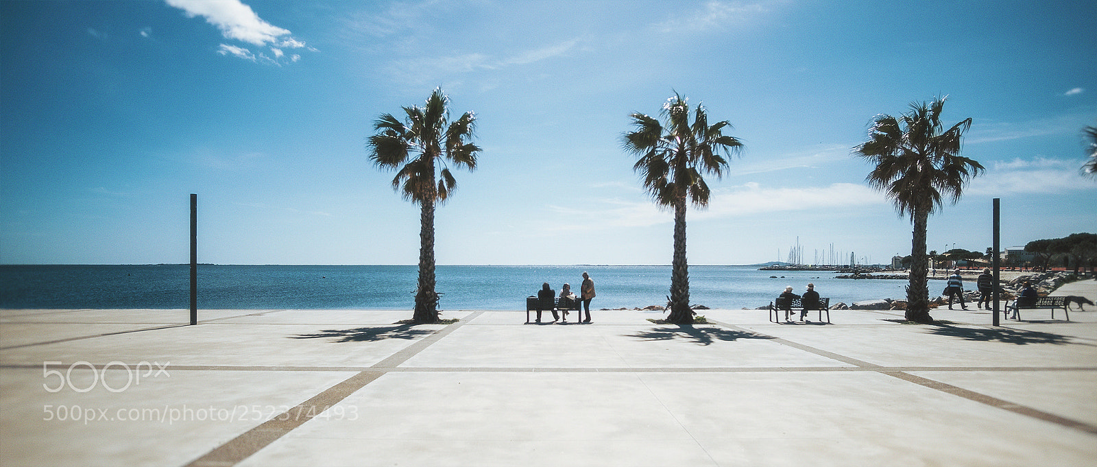 Fujifilm X-T2 sample photo. Outside - palm frame photography