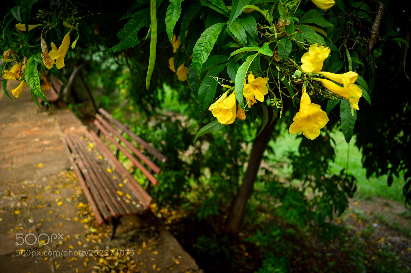 Nikon D3200 sample photo. Untitled photography