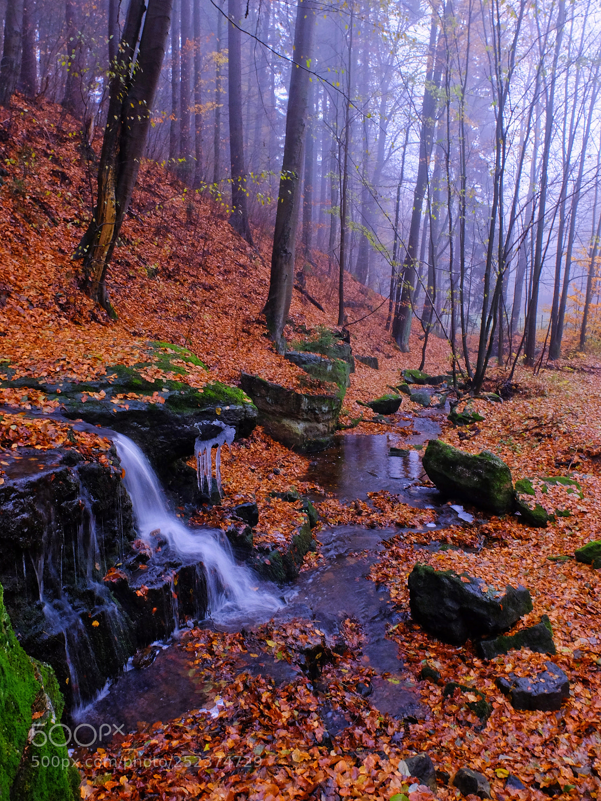 Fujifilm X30 sample photo. Hidden waterfall in forest photography